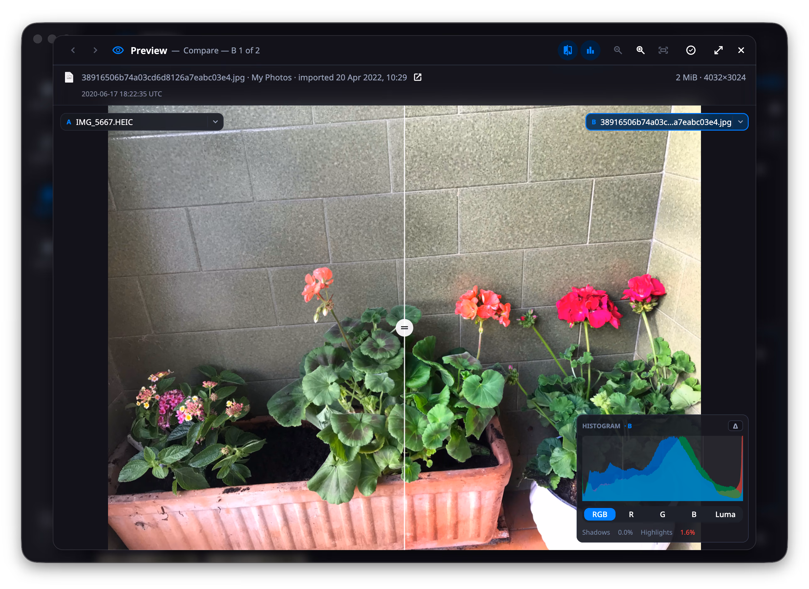 The histogram panel at the bottom right of DuoBolt's preview: the RGB view draws the red, green and blue channels over one another across four quarter-tone guides, the RGB / R / G / B / Luma switch sits underneath, and the readout below states Shadows 0.0% and Highlights 1.6%, the second one in red because it is over one per cent.