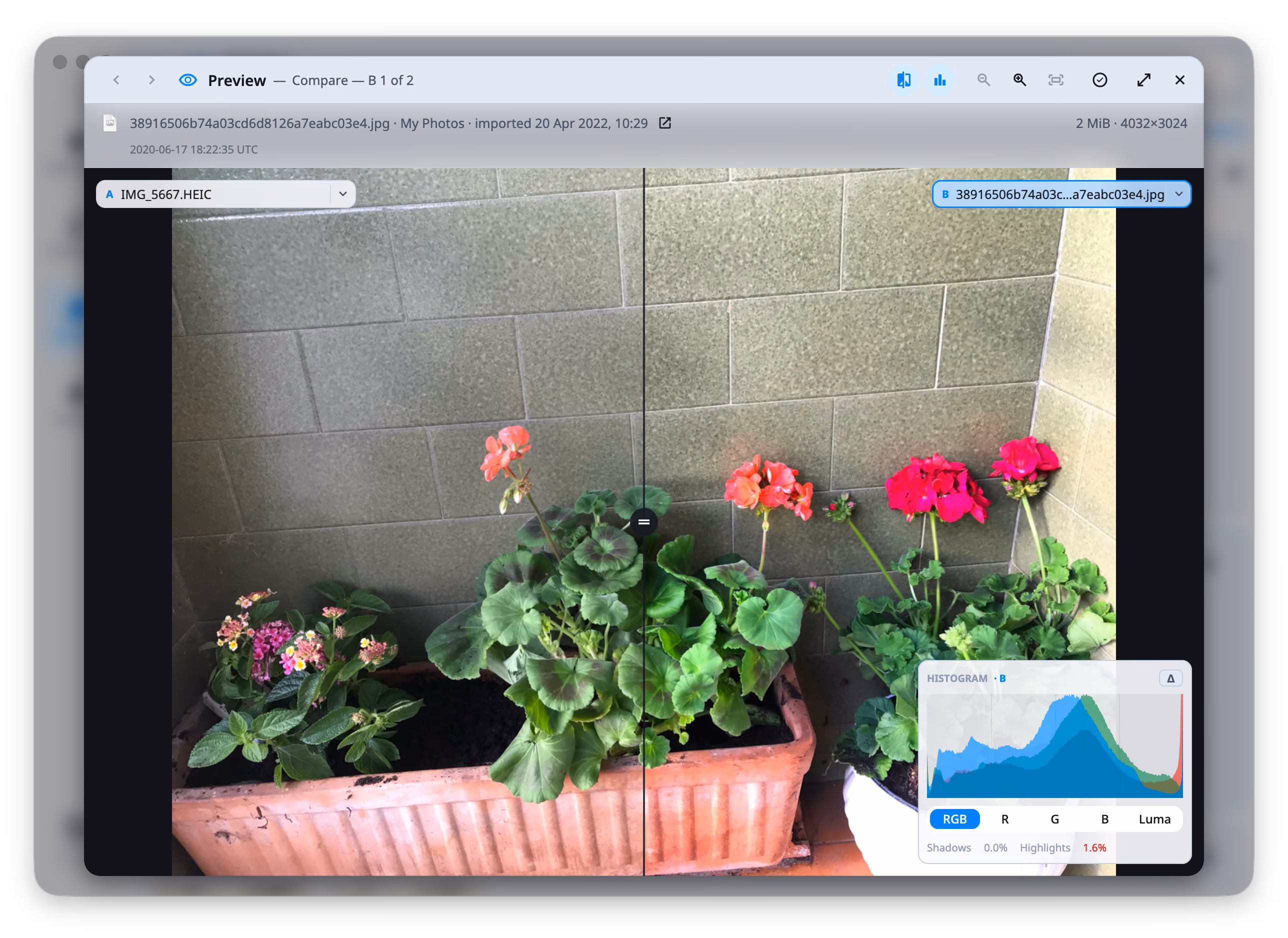 The histogram panel at the bottom right of DuoBolt's preview: the RGB view draws the red, green and blue channels over one another across four quarter-tone guides, the RGB / R / G / B / Luma switch sits underneath, and the readout below states Shadows 0.0% and Highlights 1.6%, the second one in red because it is over one per cent.