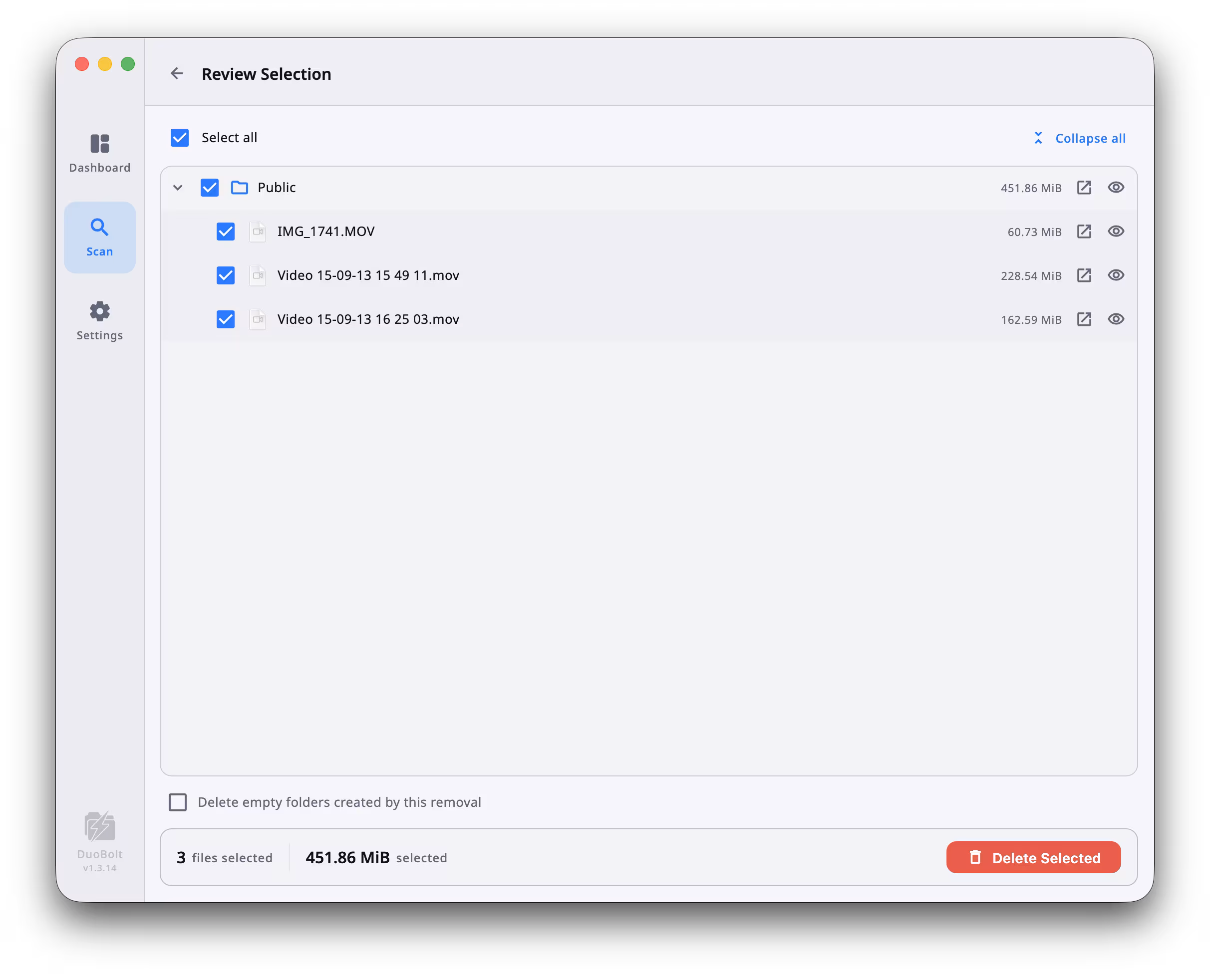 DuoBolt Desktop Review Selection panel with a tree of three selected files from a Public directory, a Delete empty folders created by this removal checkbox, and a red Delete Selected action